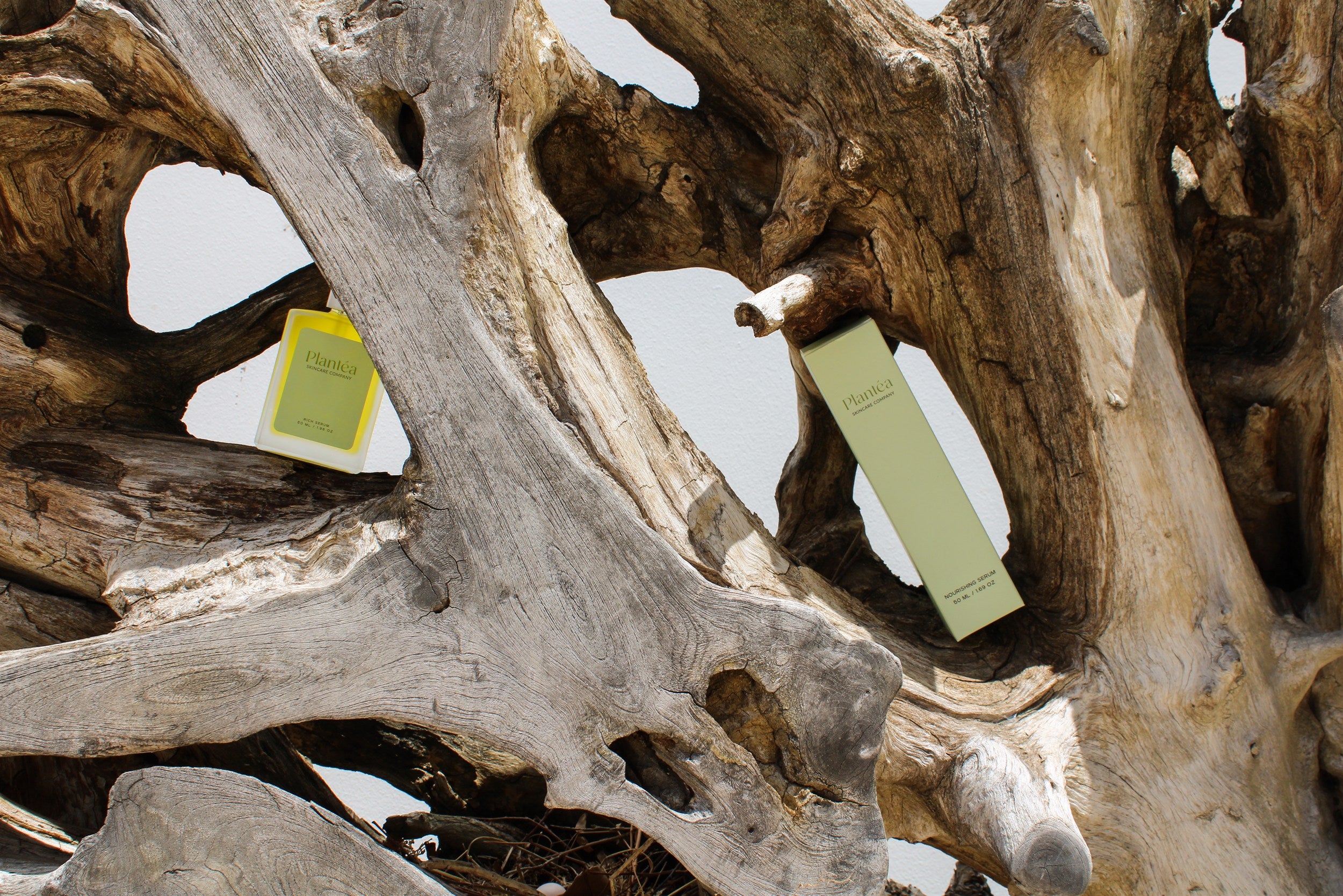 Two beauty product boxes nestled in the crevices of a gnarled piece of driftwood.