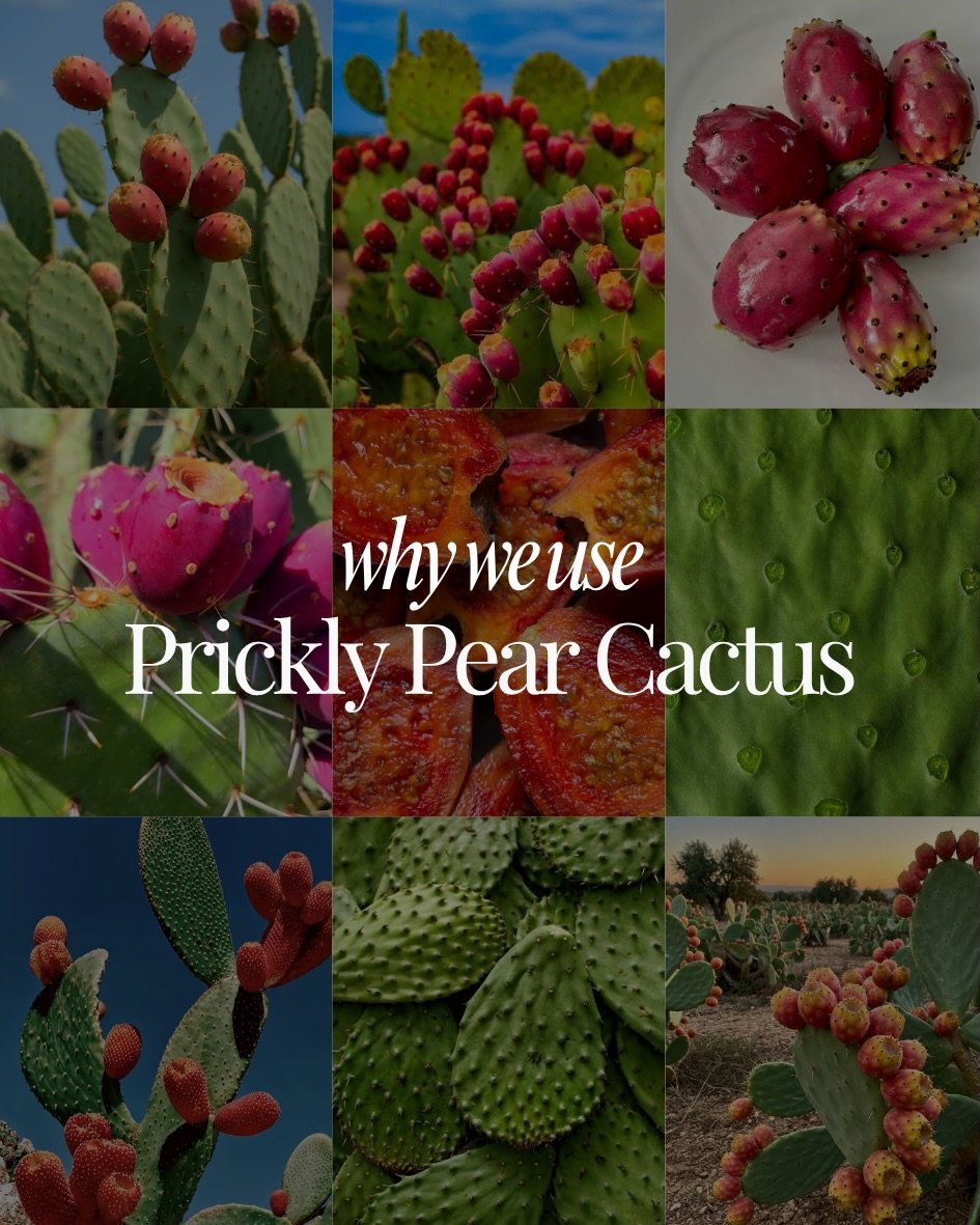 Why do we use prickly pear cactus in our products? 🌵✨ It&rsquo;s one of nature&rsquo;s best ingredients for calm, radiant skin, which is exactly why it&rsquo;s at the heart of Plant&eacute;a.