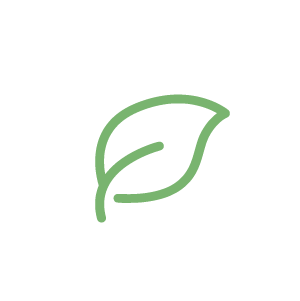 Green leaf icon on white background